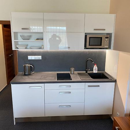 Apartmany Wellness Frymburk nad Vltavou Exterior foto
