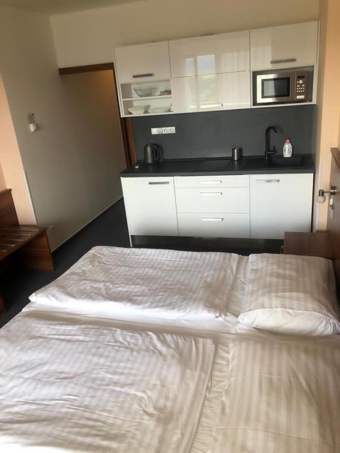 Apartmany Wellness Frymburk nad Vltavou Exterior foto