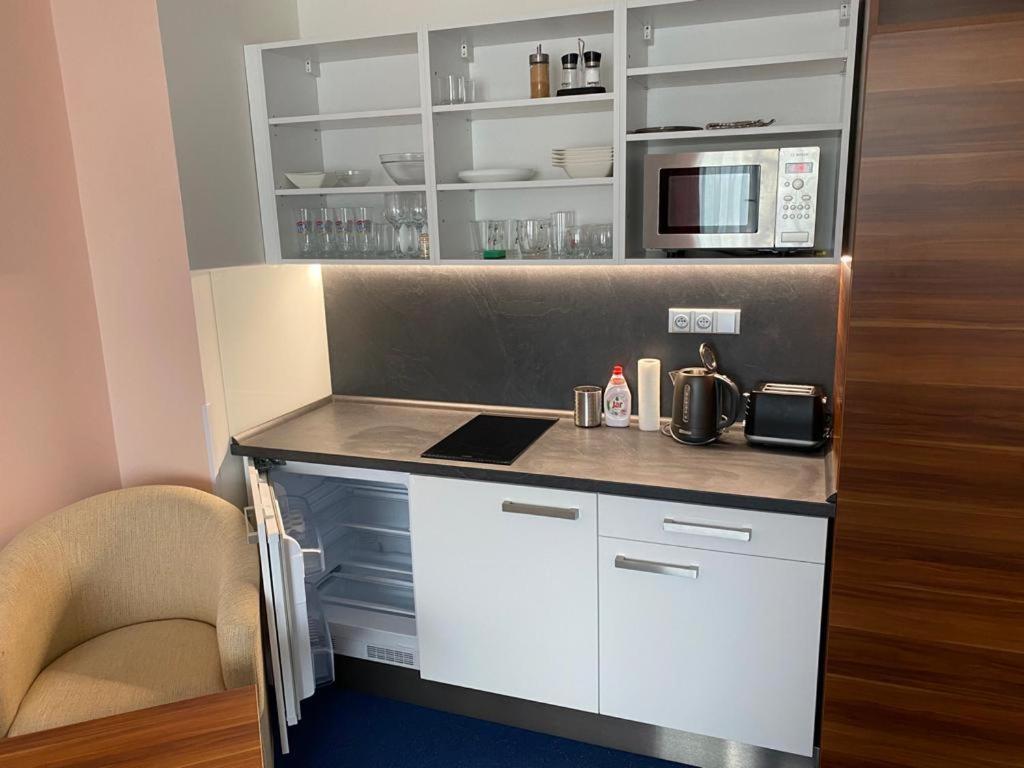 Apartmany Wellness Frymburk nad Vltavou Exterior foto
