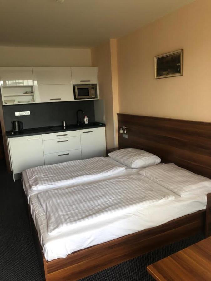 Apartmany Wellness Frymburk nad Vltavou Exterior foto